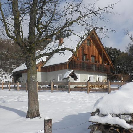 Ferienhaus "Zur Alten Schmiede" Mariahof Εξωτερικό φωτογραφία