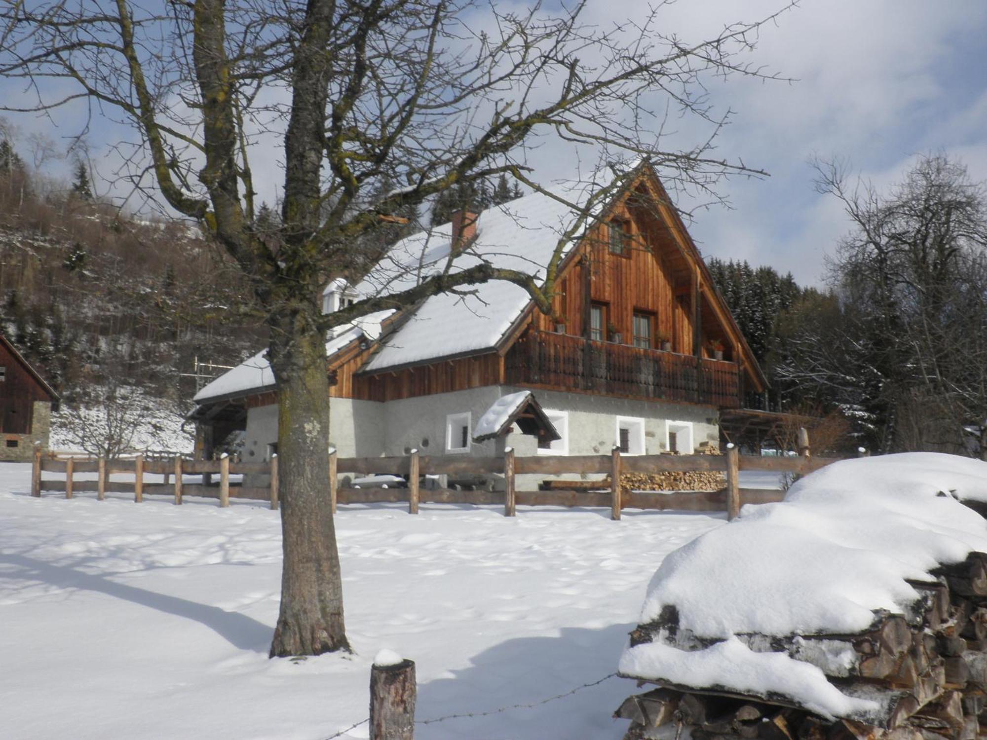 Ferienhaus "Zur Alten Schmiede" Mariahof Εξωτερικό φωτογραφία
