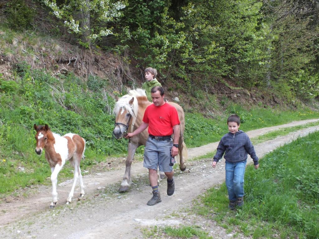 Ferienhaus "Zur Alten Schmiede" Mariahof Εξωτερικό φωτογραφία